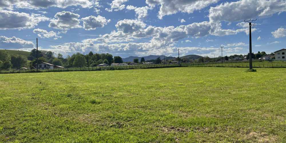fond de commerce à IHOLDY (64640)